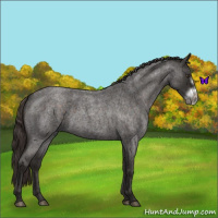 Horse Color:Liver Red Roan Sabino Frame