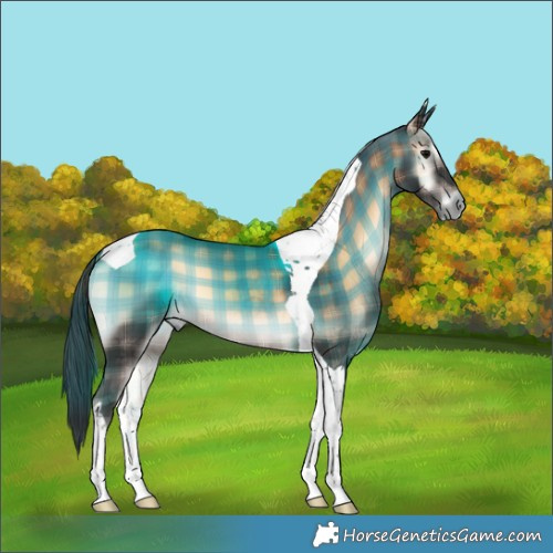 Horse Color:Plaid  Brown Onyx Tobiano 