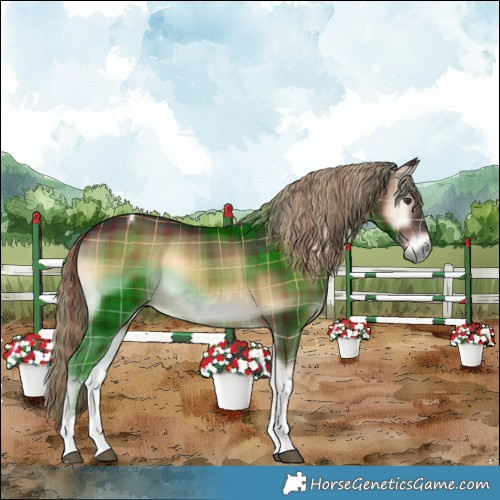 Horse Color:Plaid  Liver Red Onyx Tobiano 