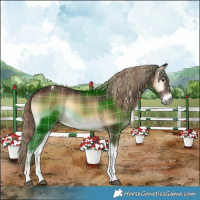 Horse Color:Plaid  Liver Red Onyx Tobiano 