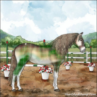 Horse Color:Plaid  Liver Red Onyx Tobiano