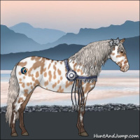 Horse Color:Silver Brown Dun Near Leopard 
