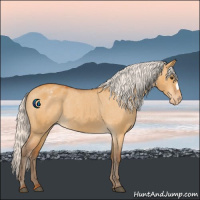 Horse Color:Silver Buckskin Dun Varnish 