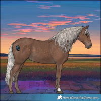 Horse Color:Silver Black 