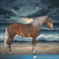 Horse Color:Silver Smoky Black and Silver Black