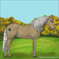 Horse Color:Silver Smoky Black 