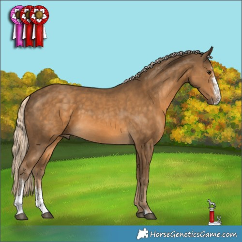 Horse Color:Chocolate Palomino Sabino 