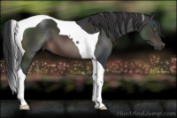 Horse Color:Brown Tobiano