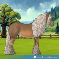 Horse Color:Chocolate Palomino 