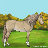 Horse Color:Chocolate Palomino Roan Dun Tobiano 