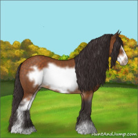 Horse Color:Buckskin Roan Sabino Frame 