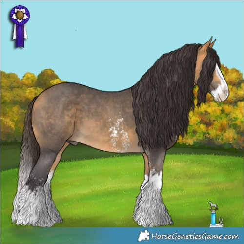 Horse Color:Buckskin Sabino Splash 