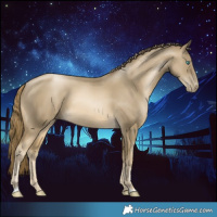 Horse Color:Smoky Black Pearl