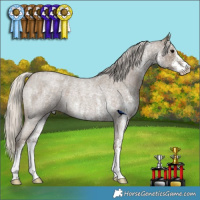 Horse Color:Silver Smoky Blue Roan Sabino 