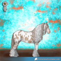 Horse Color:Liver Red Dun Tobiano Appaloosa Brindle