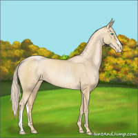 Horse Color:Palomino Pearl Snowflake Varnish 