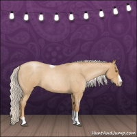 Horse Color:Silver Blue Roan Pearl Tobiano Frame 