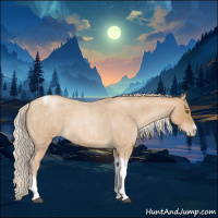 Horse Color:Silver Blue Roan Pearl Tobiano Frame 