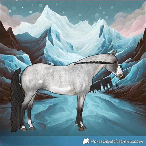 Horse Color:Buckskin Roan Sabino Frame 