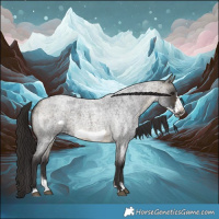 Horse Color:Buckskin Roan Sabino Frame