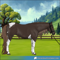 Horse Color:Liver Chestnut Tobiano 