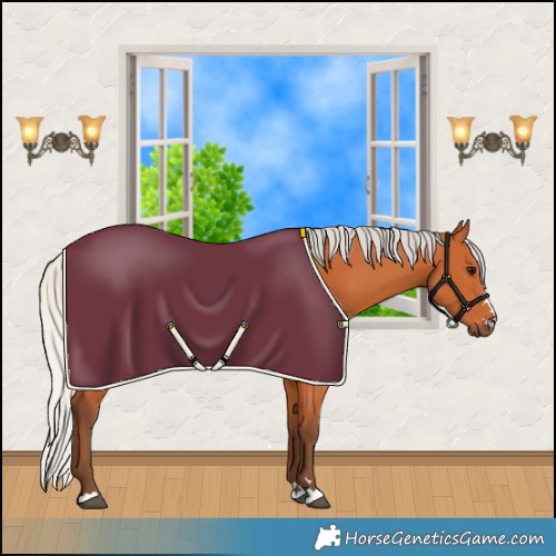 Horse Color:Silver Bay 