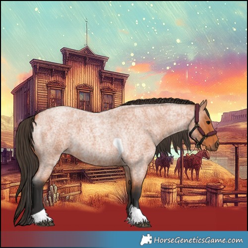 Horse Color:Bay Roan Tobiano 
