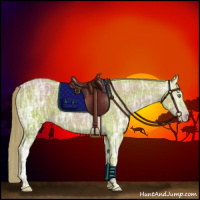 Horse Color:Gray Watercolor Gold Champagne Ice Rabicano 