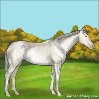 Horse Color:Gray Watercolor Gold Champagne Ice 