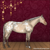 Horse Color:Silver Brown Dun Near Leopard 