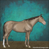 Horse Color:Classic Champagne 