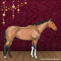 Horse Color:Bay Roan Tobiano