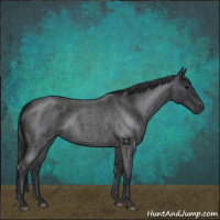 Horse Color:Blue Roan 