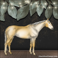 Horse Color:Gray Palomino
