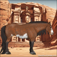 Horse Color:Buckskin Roan Sabino Frame