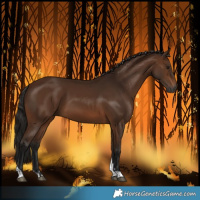 Horse Color:Gray Bay Tobiano 