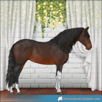 Horse Color:Brown Tobiano Rabicano 