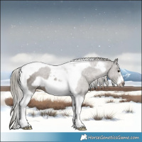 Horse Color:Silver Black Tobiano Frame 