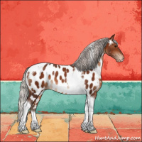 Horse Color:Silver Bay Tobiano Appaloosa Rabicano 