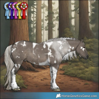 Horse Color:Gray White Spotted Silver Grullo Tobiano 