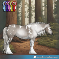 Horse Color:Gray White Spotted Silver Grullo Tobiano 