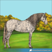 Horse Color:Buckskin Roan Sabino  and Perlino Dun 