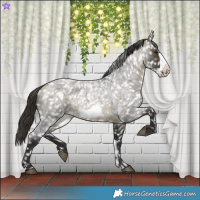 Horse Color:Buckskin Roan Sabino Frame Snowflake Varnish