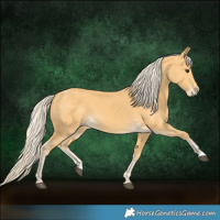 Horse Color:Palomino 