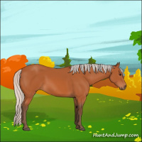Horse Color:Silver Bay 