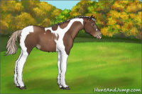 Horse Color:Gray Silver Black Pearl Tobiano 