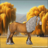 Horse Color:Gray Silver Sable Cream Champagne Sabino Rabicano and Gray Silver Sable Cream Champagne Sabino Rabicano