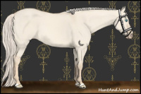 Horse Color:Cremello Dun 
