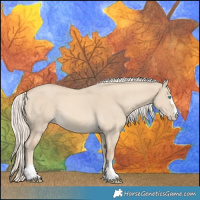 Horse Color:Cremello Dun 