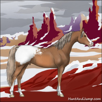 Horse Color:Chestnut Sabino Appaloosa 